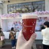 【“花見の聖地”で最高のビールが楽しめる！？】「ヒューガルデン とっておきの桜体験」キャンペーンの様子をレポート 画像