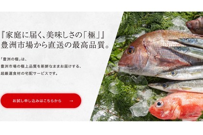 宅配サービス「豊洲の極」開始！豊洲の高品質食材が仕入れたその日に届くぞ！ 画像