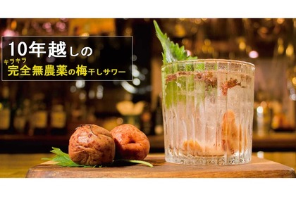 10年越しの完全無農薬「梅干しサワー」がスリーハンドレッドバーに登場！ 画像