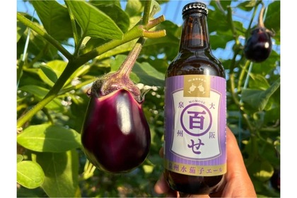 【嘘だろ...“水ナス”を使ったビールってなに！？】「泉州水茄子エール」が300本限定で販売中 画像