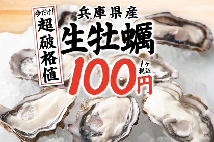 【激安！生牡蠣が何個でも1個100円で楽しめる！】人気居酒屋チェーンにて「今だけ！生牡蠣破格値」キャンペーン実施 画像