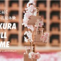 桜升と佐賀の日本酒が届く！「SAKURA CHILL HOME」クラウドファンディング開催