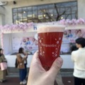 【“花見の聖地”で最高のビールが楽しめる！？】「ヒューガルデン とっておきの桜体験」キャンペーンの様子をレポート